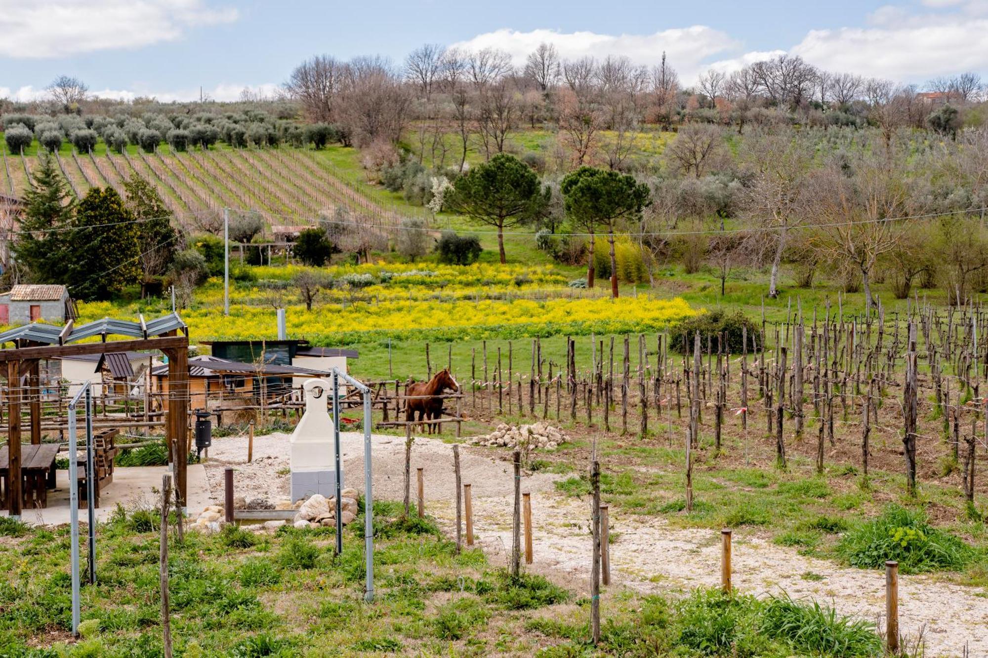 Paternopoli Il Poggio Degli Antichi Sapori 빌라 외부 사진